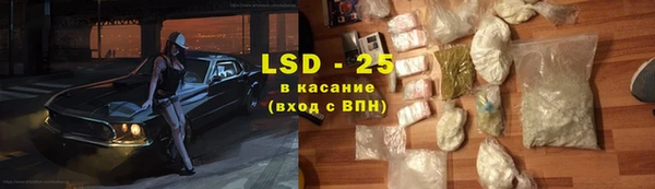 индика Балабаново