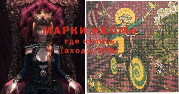 индика Балабаново