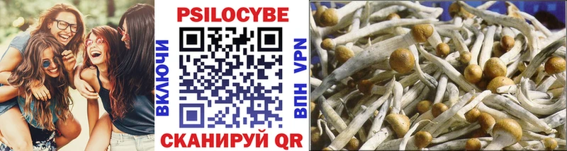 Псилоцибиновые грибы Psilocybe  купить  сайты  Рыбинск 